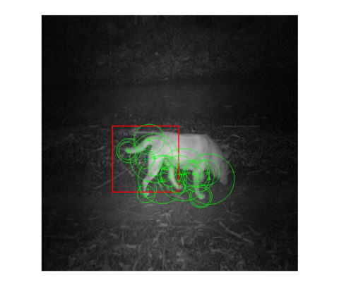 do detection