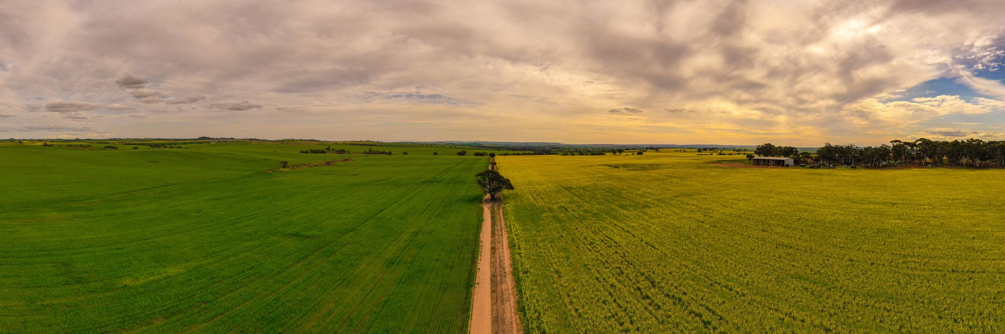 Drone view of cropping land.