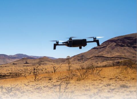 WeedRemeed - Harnessing AI and aerial imagery for scalable weed detection in Australian landscapes