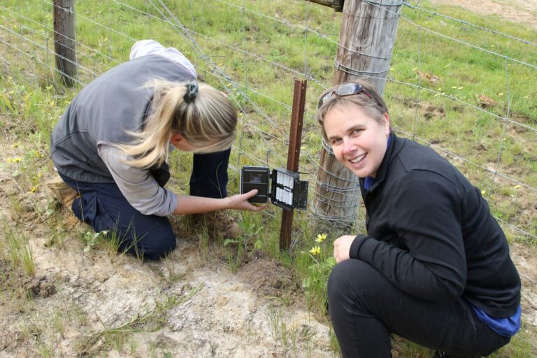King Island camera trap